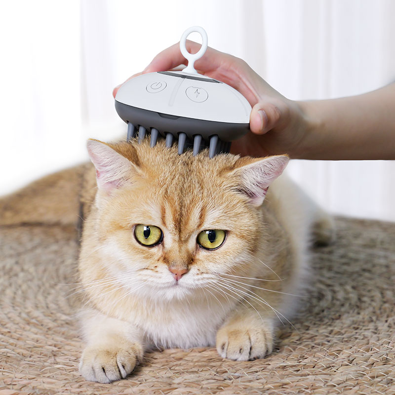 猫梳 (2)